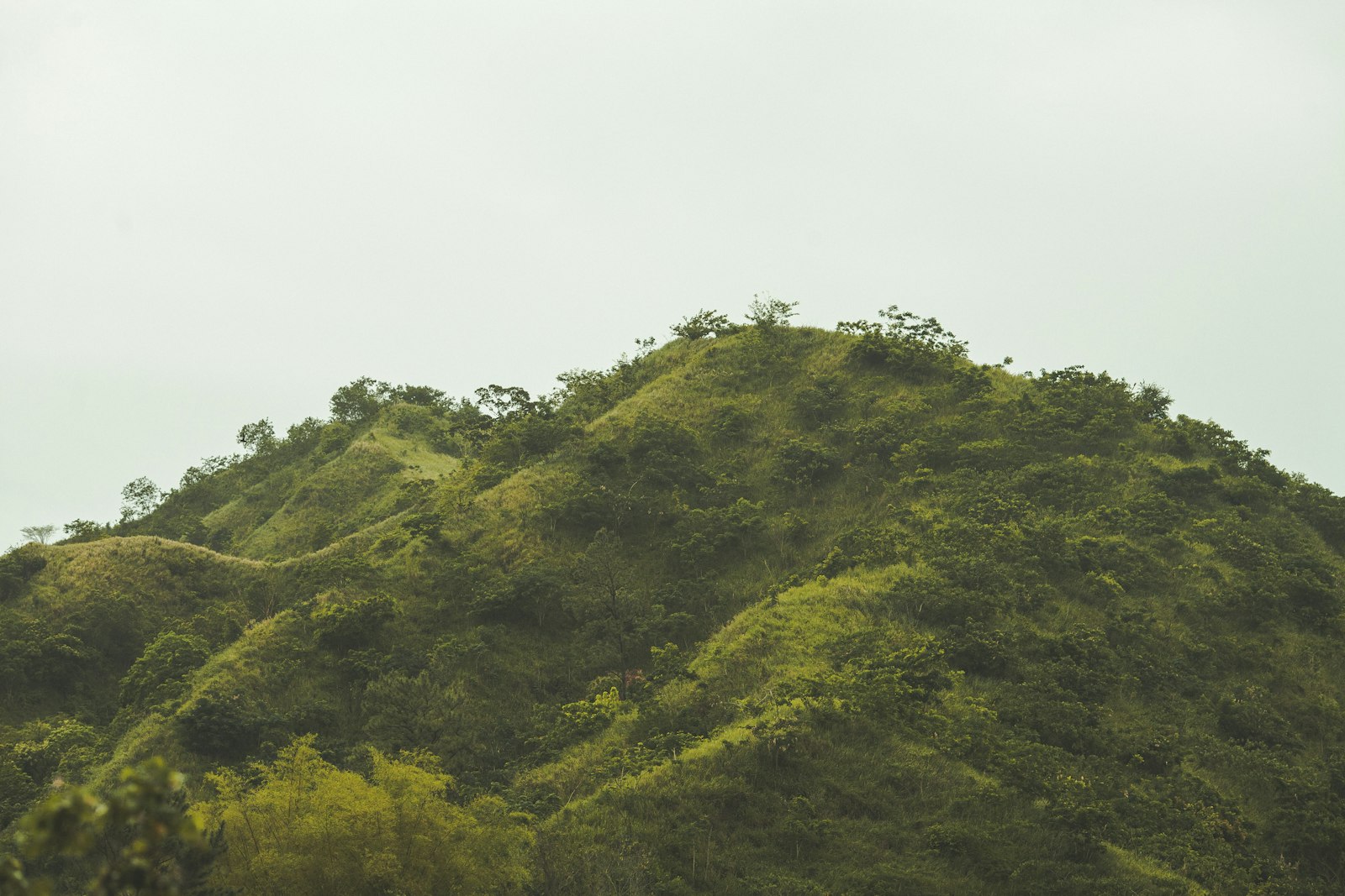 Green misty peaks of the Blue Mountains near Kingston, Jamaica, under a pale sky